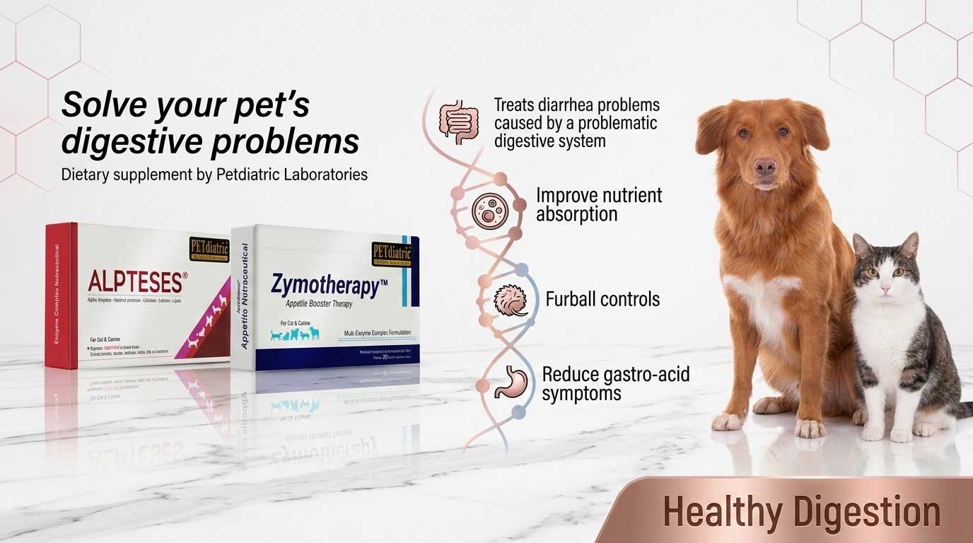 petdiatric-home-healthy-digestion