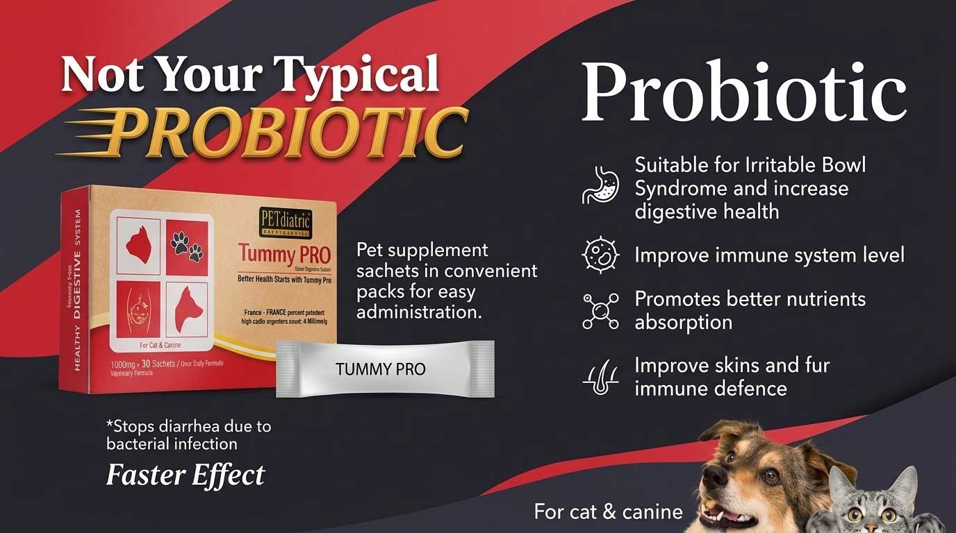 petdiatric-home-probiotic